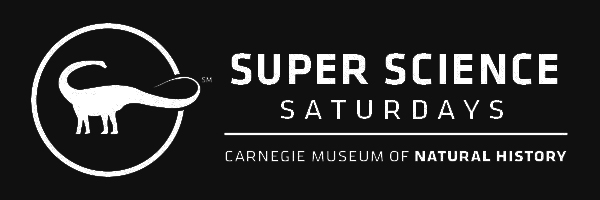 Carnegie Museum of Natural History Super Science Saturdays