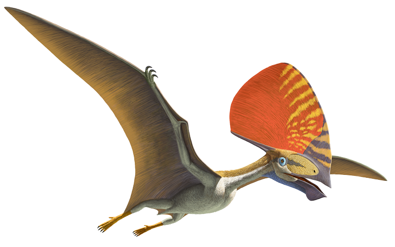 tupandactylus